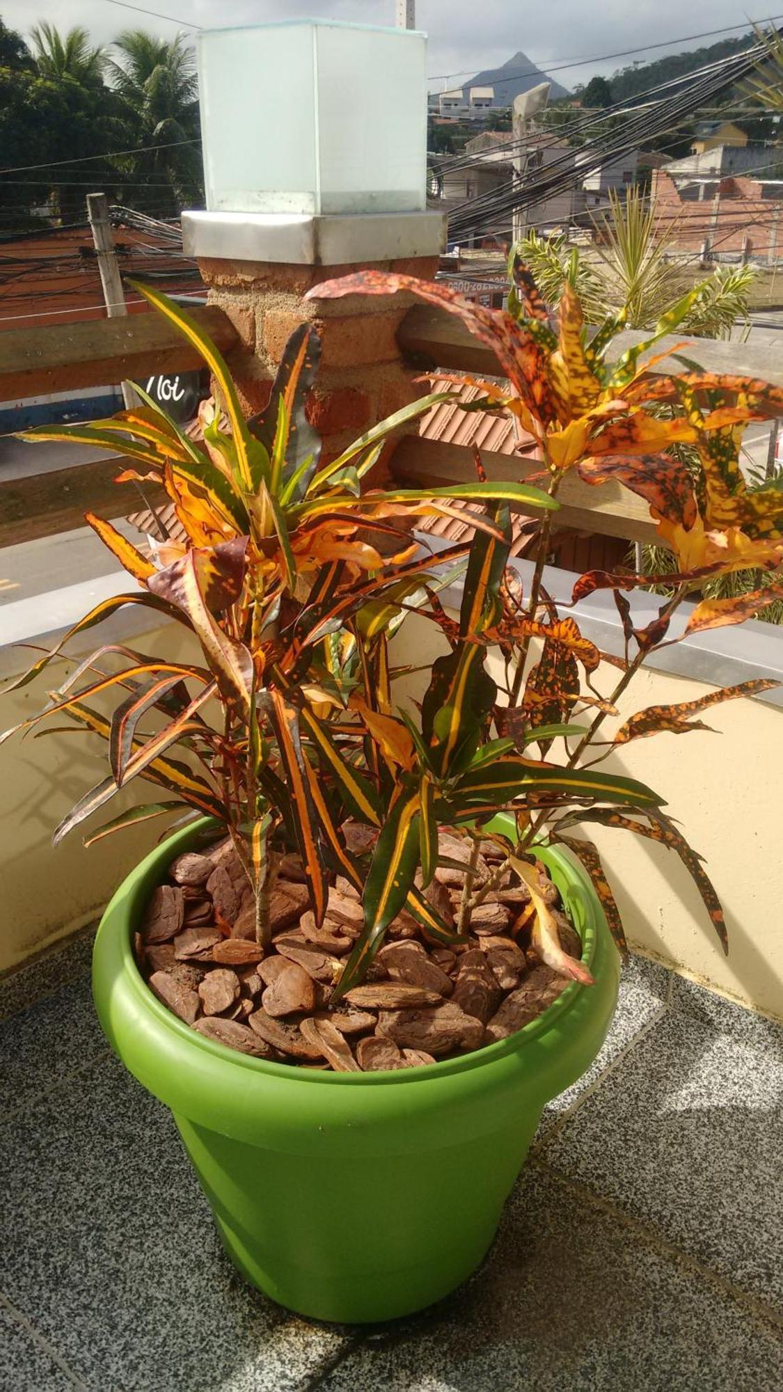 Pousada Castelinho Marica Ngoại thất bức ảnh