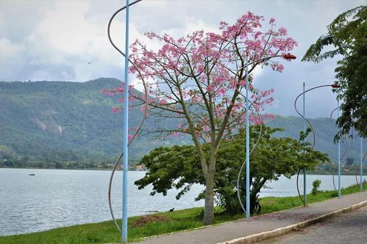 Pousada Castelinho Marica Ngoại thất bức ảnh