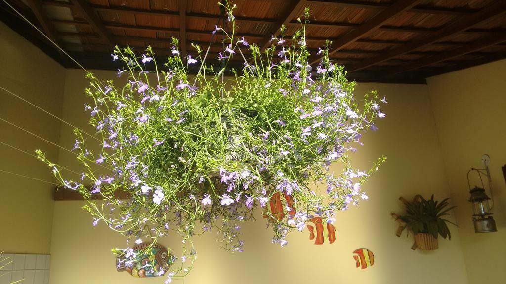 Pousada Castelinho Marica Ngoại thất bức ảnh